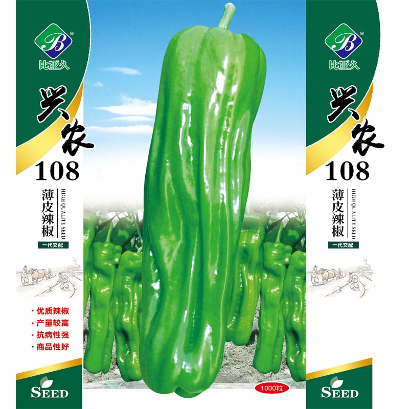 薄皮皱皮辣椒种子早熟高产