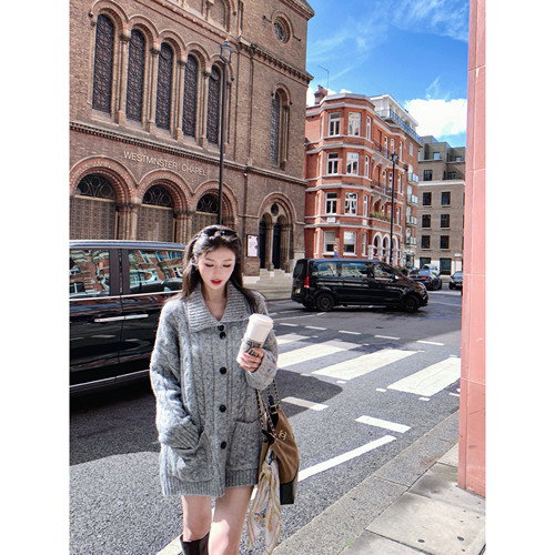 小象立领翻领两穿麻花棒针毛衣