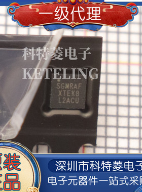 SGM2048-ADJXTEK8G/TR 丝印SGMRAF XTEK8 TDFN-8 全新原装