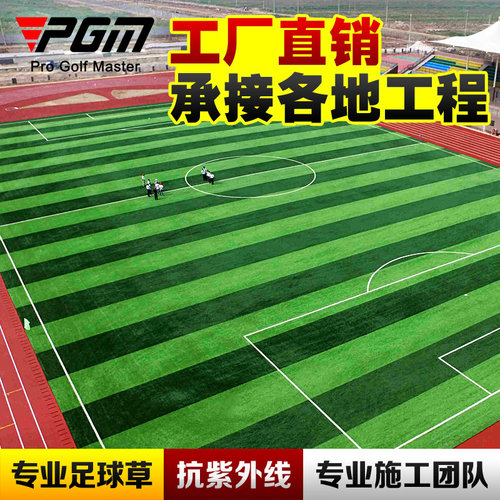 专业施工队高仿真人造草坪pgm