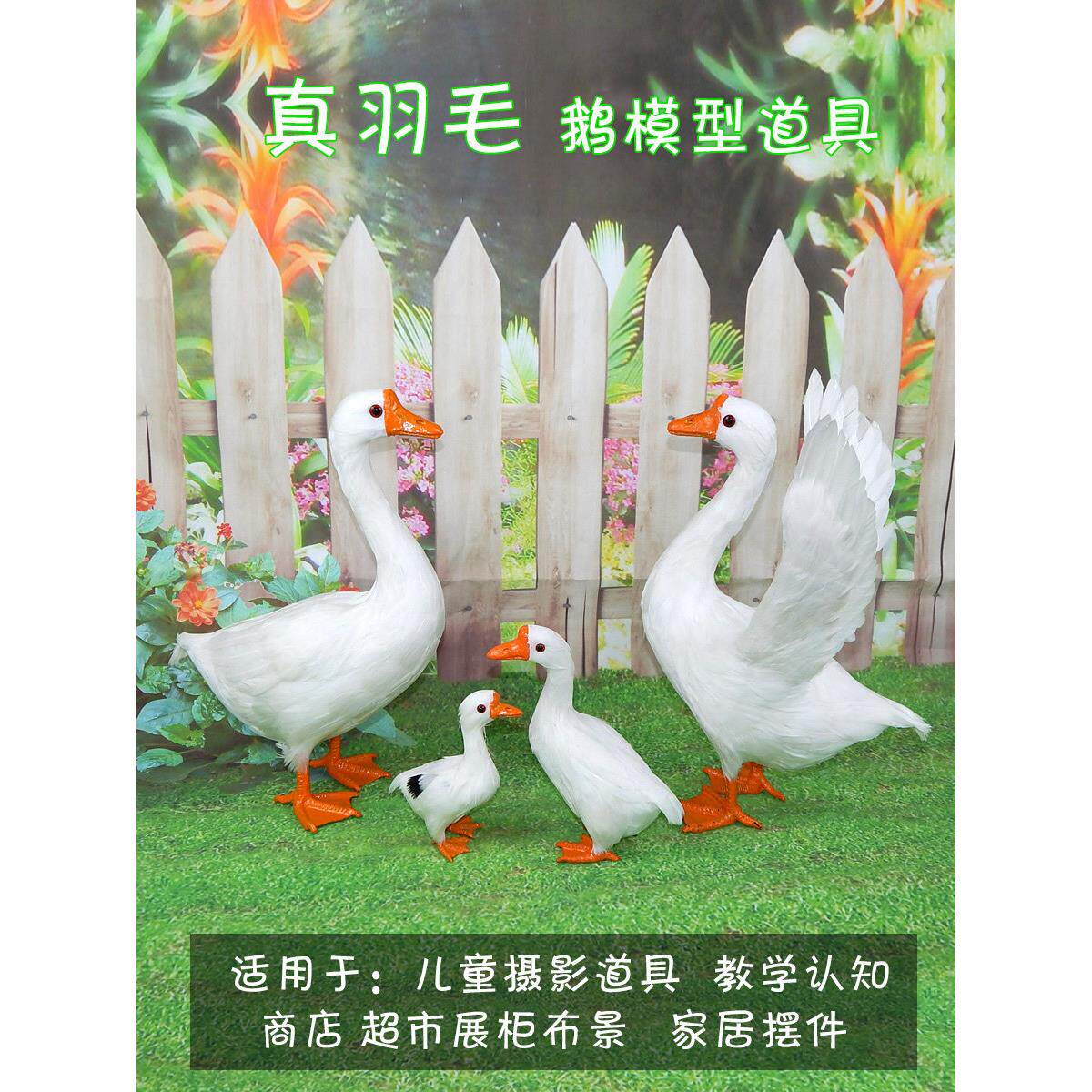 模拟鹅模型摄影大白鹅装饰品室内花园草装饰鹅摄影摄影道具鹅鸭