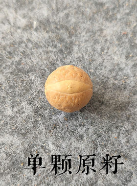壹宝轩菩提籽颗颗正眼凤眼搭配