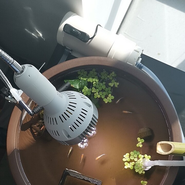 鱼缸usb外置过滤器 静音迷你直流龟缸吸便diy过滤桶 增氧培菌过滤