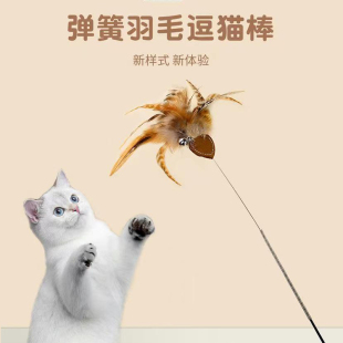 CFA赛级逗猫棒 仿真小飞虫可替换铃铛互动逗猫神器可拆卸猫咪玩具