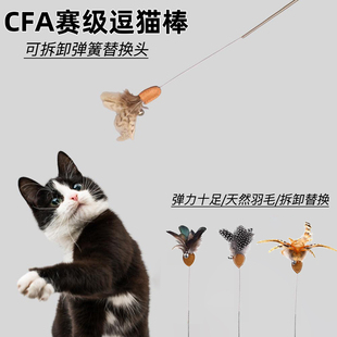 CFA赛级小飞虫逗猫棒猫咪赛级木柄弹簧逗猫棒可替换羽毛铃铛昆虫