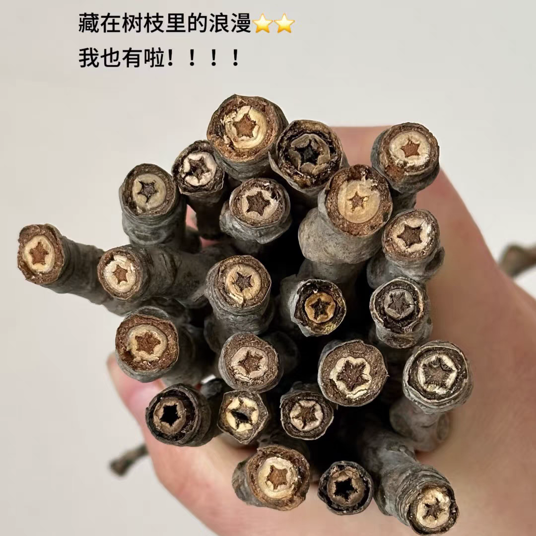 星星树枝手工装饰