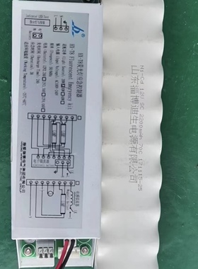 NI-Cd 12V SC 2200mAh 淄博迪生电源 应急灯 镍镉充电 电池组8.4V