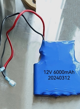 SJ2B3C SJ3B3C 12V 4.0AH 6.0AH Snga电动松闸装置电池 无机房EPB