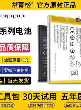 适用OPPO R17 Pro手机R15星云15X梦境版R9TM原装r11s Plus电池11T
