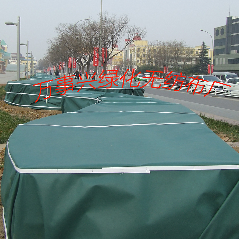 工程绿化挡风小区越冬缠裹树木