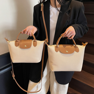 2025新款时尚百搭小众饺子包