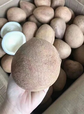 【商用批发】坏果包赔大椰皇
