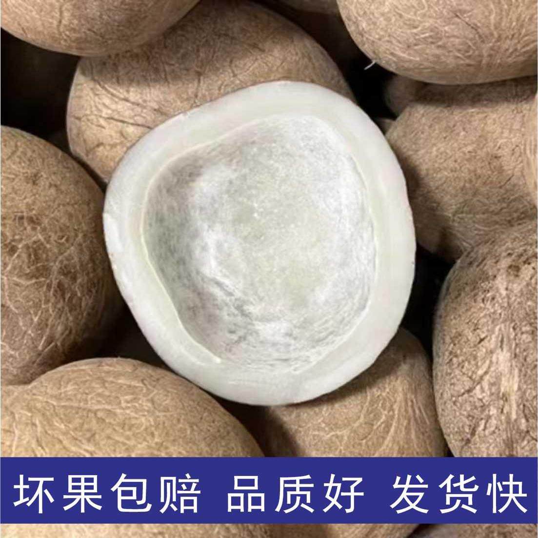 无汁浓香椰子皇印度海底椰整个椰子鸡煲炖汤煲汤材料甜品干货糖水