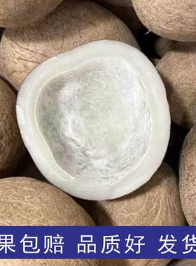 无汁浓香椰子皇印度海底椰整个椰子鸡煲炖汤煲汤材料甜品干货糖水