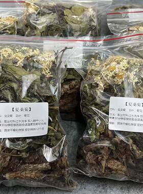 广东凉茶夏桑菊无糖原料包口干舌燥口苦口臭熬夜上火眼干凉茶包