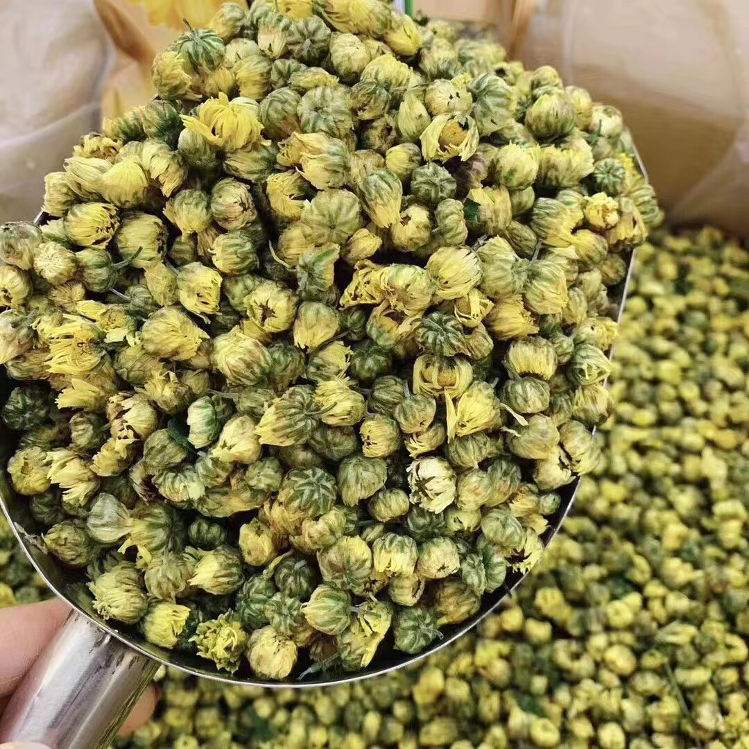 野生正品桐乡胎菊散装250g清肝