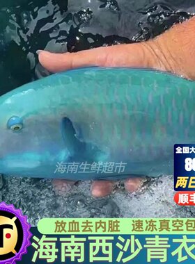 海南西沙青衣鱼海鱼新鲜捕捞海鲜鲜活冷冻真空包装顺丰空运包邮