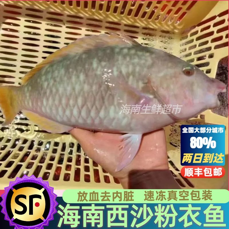 海南西沙粉衣鱼新鲜海鲜海鱼鲜活真空包装冷冻顺丰包邮