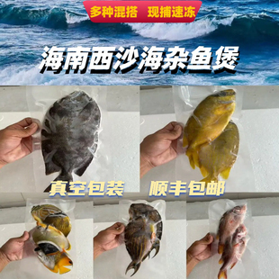 海南西沙黄金鲽鱼新鲜海鱼海鲜香煎真空包装速冻顺丰包邮