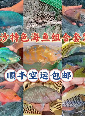 海南南海西沙海鲜珊瑚鱼青衣鱼海鱼新鲜海鲜鲜活冷冻套餐组合送礼