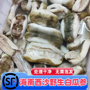 海南西沙深海野生正宗白瓜参新鲜冰鲜海参真空包装冷冻顺丰包邮