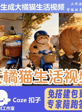 大橘猫生活视频 coze工作流智能体 扣子空间AI视频含教程一键生成
