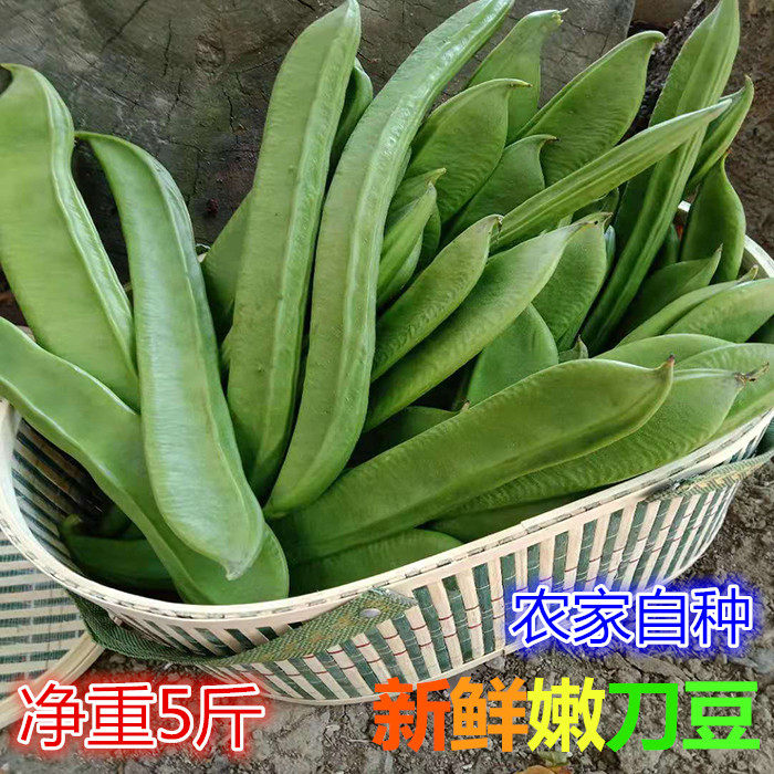 刀豆鲜嫩江西农家自种辣椒腌制