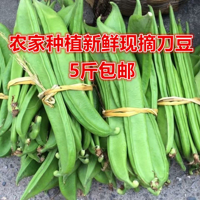 刀豆鲜嫩江西农家自种辣椒腌制