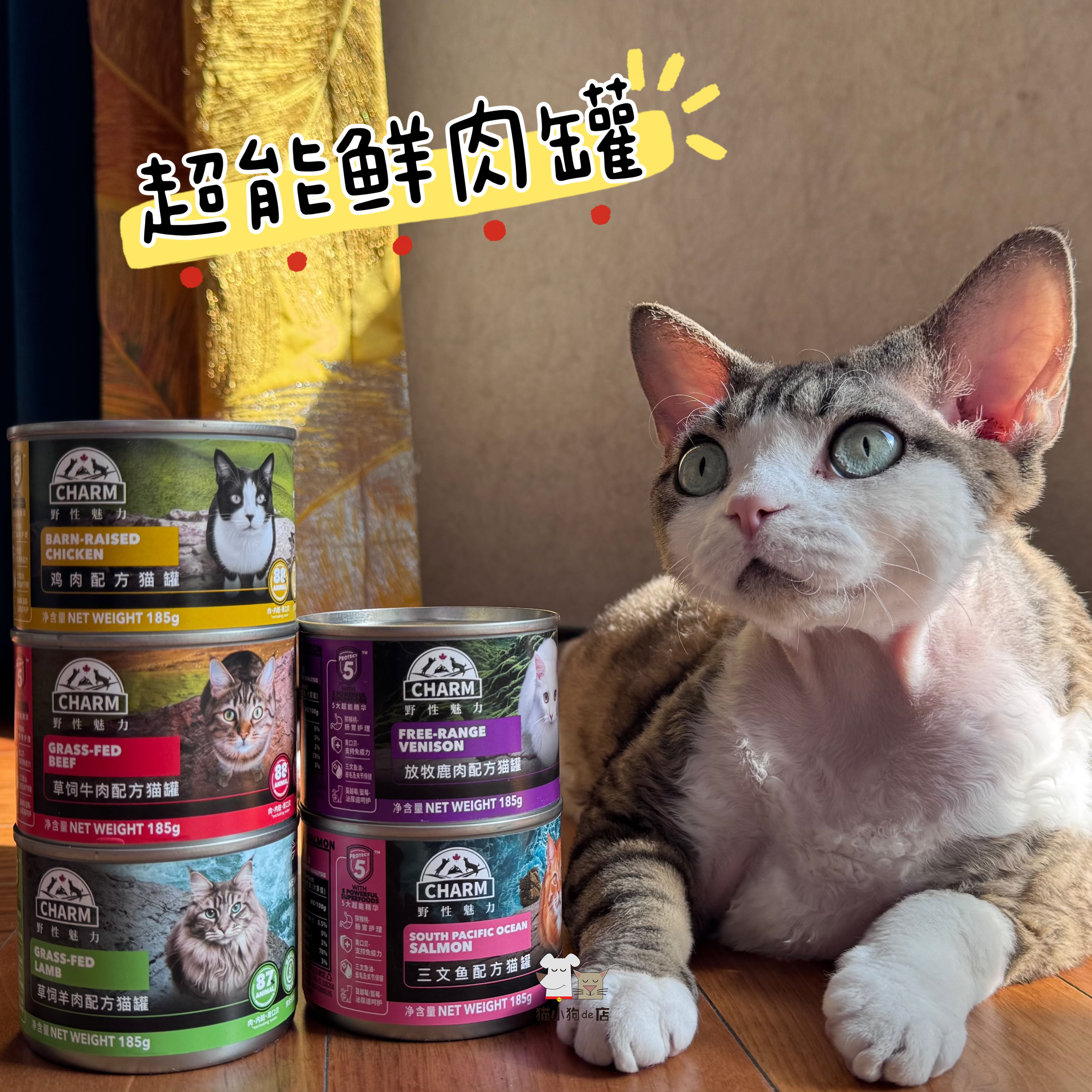 CHARM野性魅力新西兰进口主食级营养猫罐头超能鲜肉主成幼猫咪85g