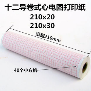 216x20x30心电图记录纸 215x20x30 心电图纸十二导210x20 210x30