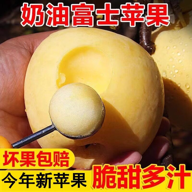 正宗奶油富士苹果脆甜大果当季新鲜水果冰糖心黄苹果黄胖子非富士