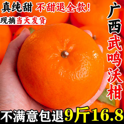 正宗广西武鸣沃柑新鲜当季水果纯甜橘子桔子皇帝丑柑橘大果现摘5
