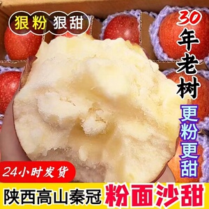 【粉面沙甜】新鲜可刮泥苹果