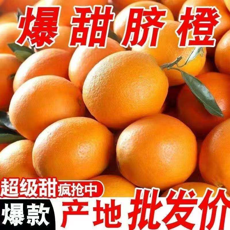 脐橙橙子新鲜水果当季现摘纽荷尔手剥橙非赣南冰糖甜脐橙整箱包邮