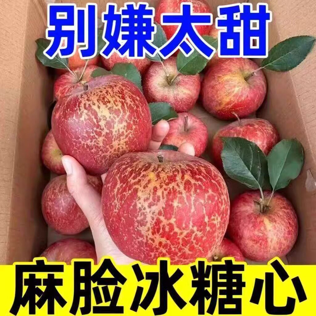 正宗云南昭通丑苹果脆甜9斤新鲜水果冰糖心非盐源丑苹果整箱包邮