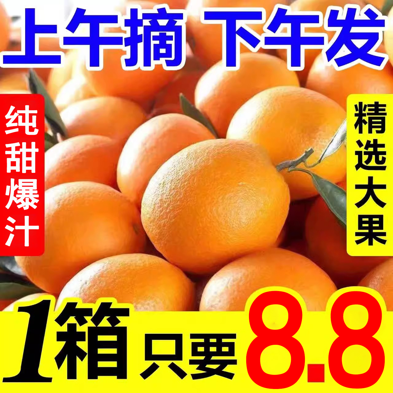 脐橙橙子新鲜水果当季现摘纽荷尔手剥橙非赣南冰糖甜脐橙整箱包邮