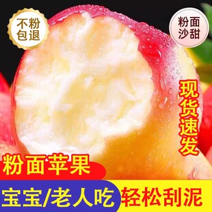 粉面沙甜糯苹果9斤新鲜秦冠红香蕉苹果婴儿老人孕妇刮果泥吃包邮