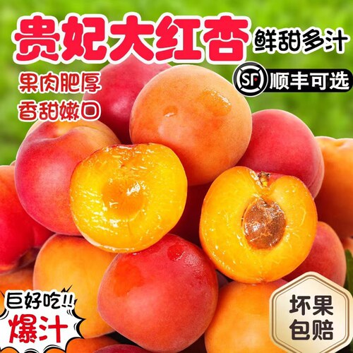 陕西贵妃大红杏胭脂杏自然熟当季新鲜水果现摘红杏子黄杏整箱包邮