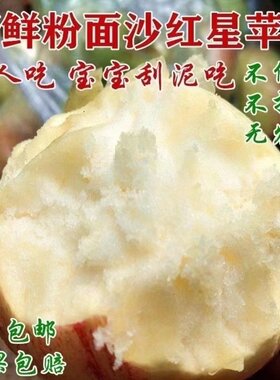 粉面香甜苹果不粉包赔2023年新果