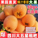 正宗四川大五星枇杷鲜果新鲜水果当季 孕妇整箱五星米易甜大琵琶果