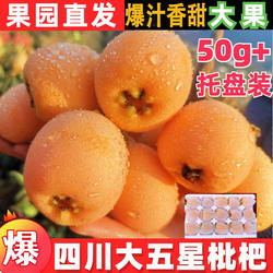 正宗四川大五星枇杷鲜果新鲜水果当季孕妇整箱五星米易甜大琵琶果