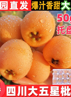 正宗四川大五星枇杷鲜果新鲜水果当季孕妇整箱五星米易甜大琵琶果