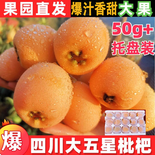 正宗四川大五星枇杷鲜果新鲜水果当季 孕妇整箱五星米易甜大琵琶果