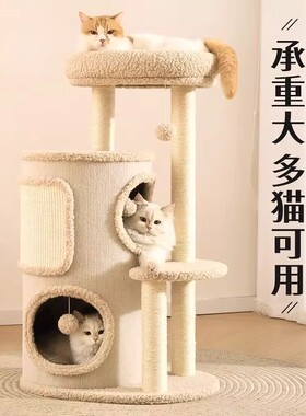 猫爬架小户型不占地家用树洞猫窝一体四季通用多层双层跳台剑麻桶