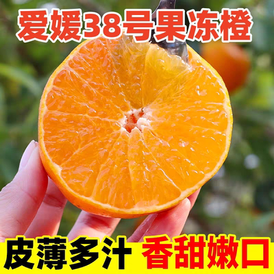 四川爱媛38号果冻橙9斤新鲜当季