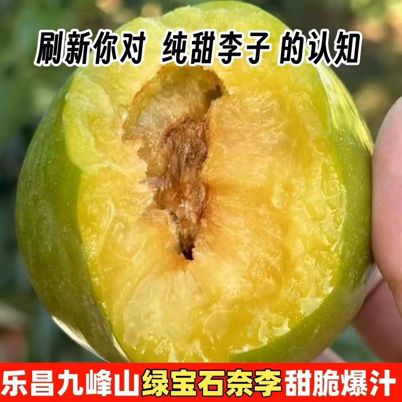纯甜广东韶关乐昌九峰山绿宝石翡翠奈李黄金油奈新鲜水果整箱包邮