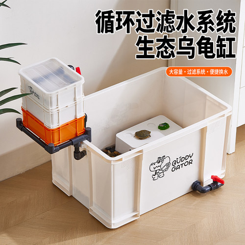 强效循环过滤水质稳定懒人缸