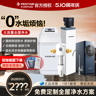 滨特尔软水机家用全屋净水系统商用除水垢中央净水机爱惠浦净水器