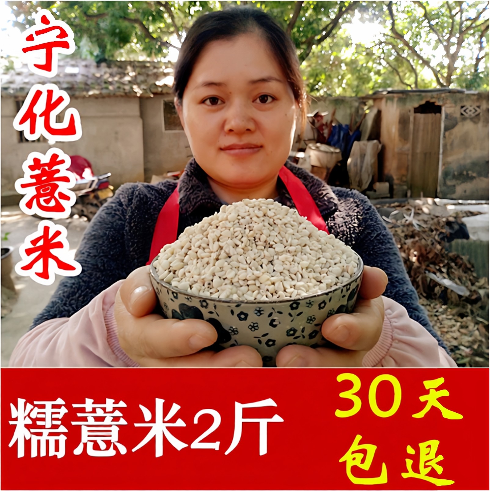 正宗宁化糯薏米仁新货薏仁米小薏米非转基因薏苡仁福建糯薏米新米
