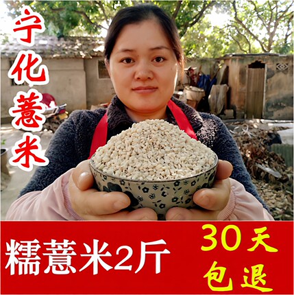 正宗宁化糯薏米仁新货薏仁米小薏米非转基因薏苡仁福建糯薏米新米